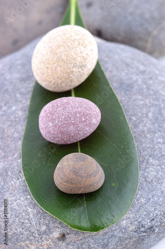 Photography pierres zen sur feuille