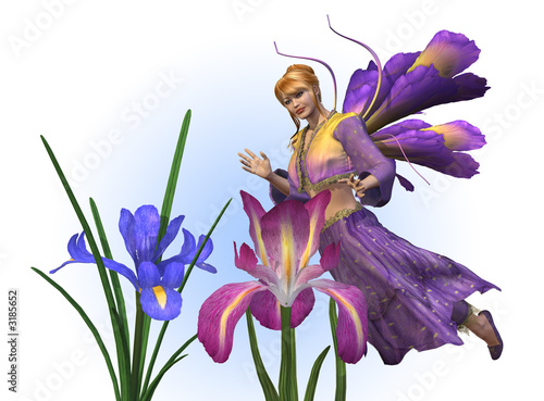 flower fairy with irises