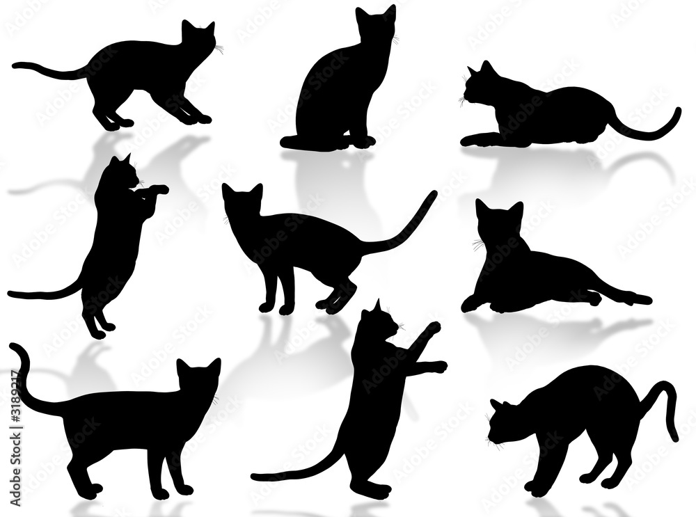 gatti in silhouette