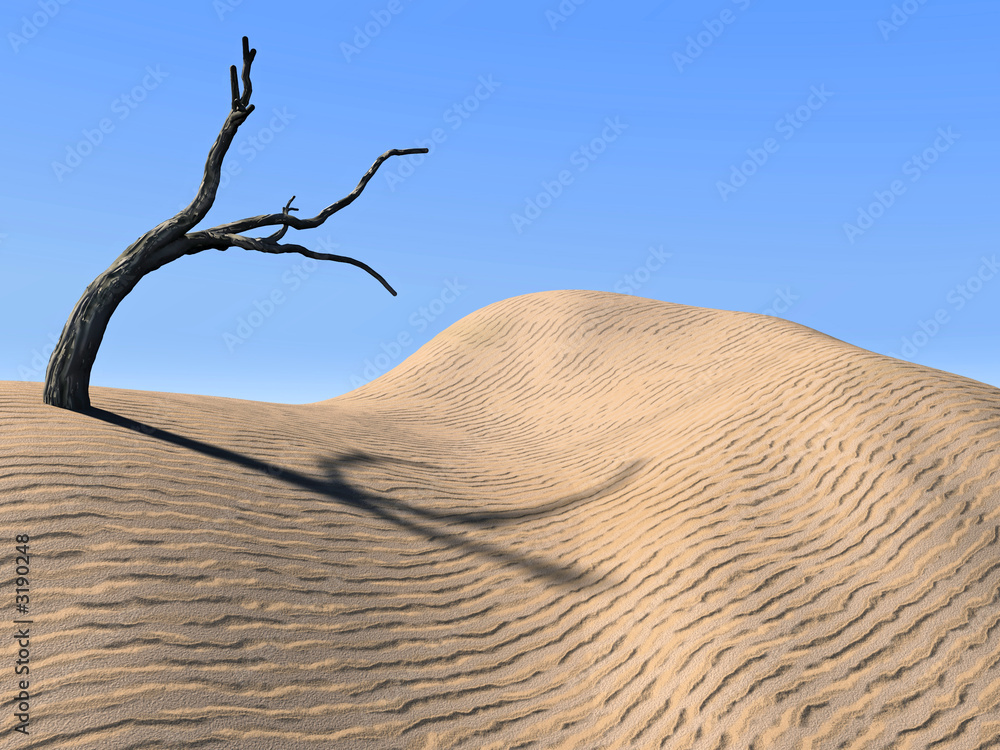 dune dune