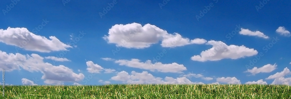 grass, sky and clouds panorama grass, sky and clouds panorama
