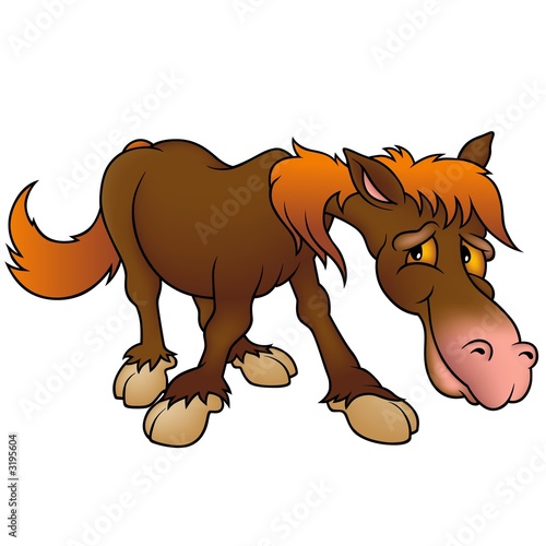 Fototapeta Naklejka Na Ścianę i Meble -  brown horse