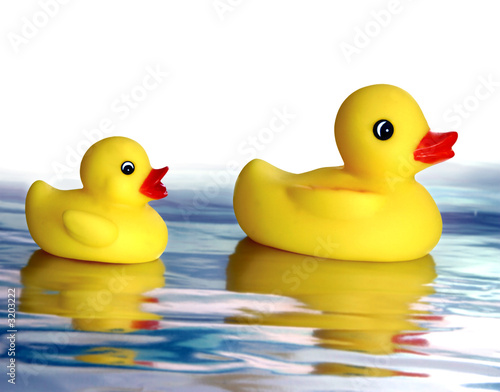rubber ducky