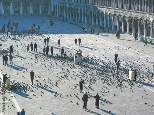 crowd of pigeon birds and people on a place, saint marc place, v photo
