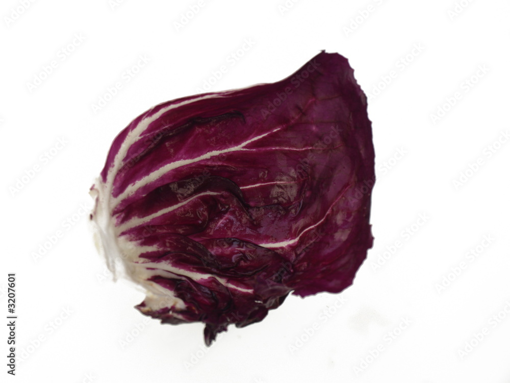 radicchio salat blatt radicchio salat blatt