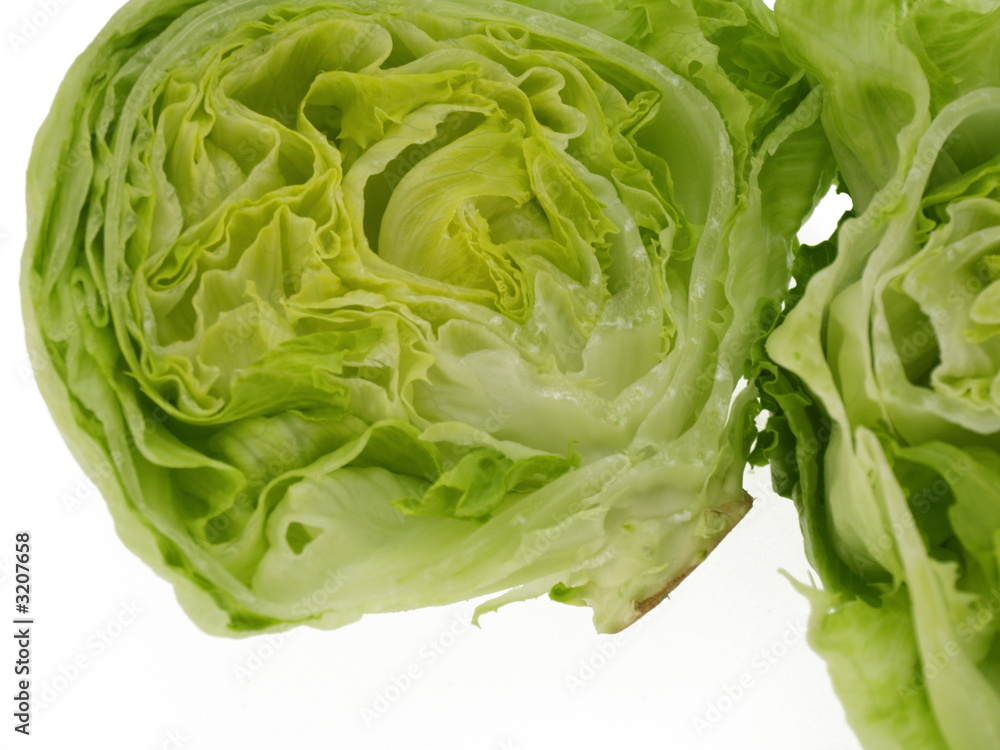 ice berg salat halbiert ice berg salat halbiert