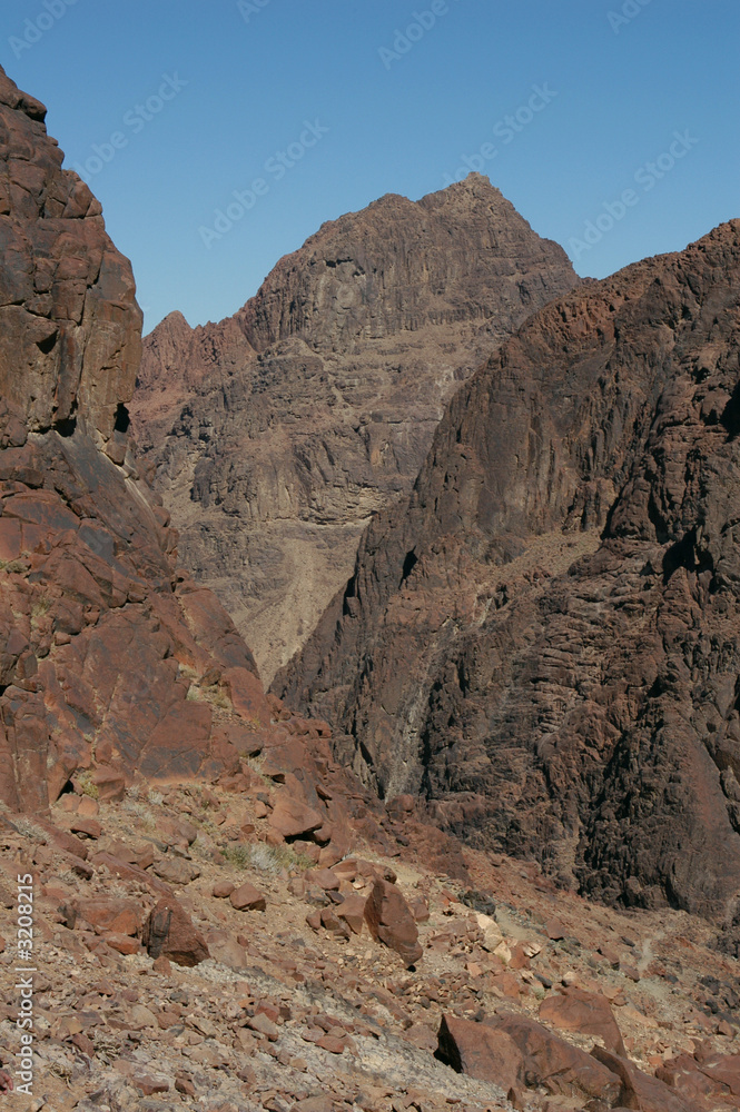 Fototapeta premium mount sinai