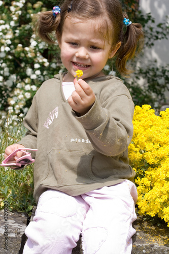 yellow flowers