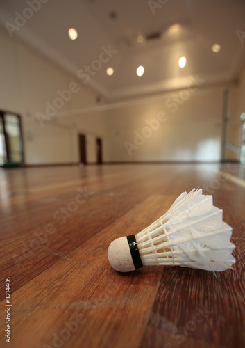 shuttlecock