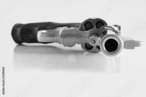 muzzle of a 38 caliber