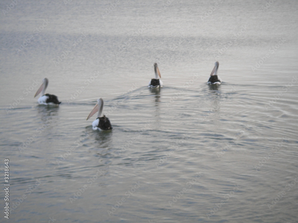 Naklejka premium coorong, australia