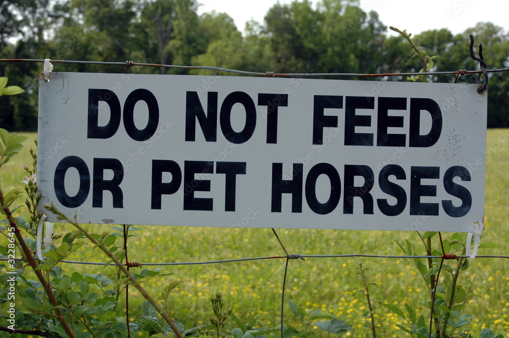 do not feed or pet horses