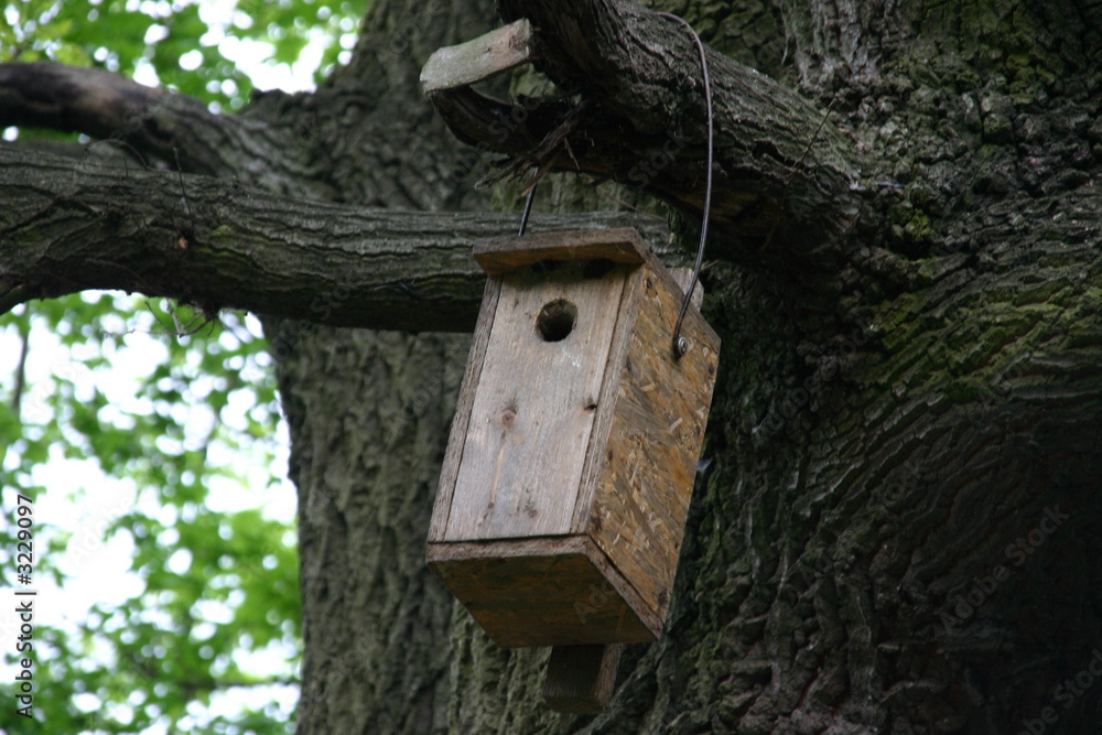bird hut on a tree
