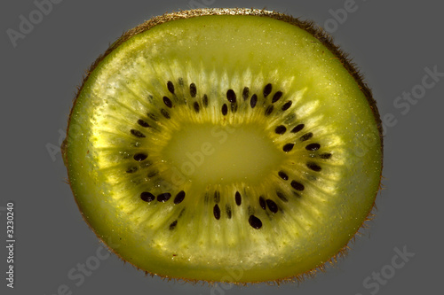 kiwi-2