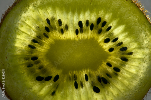 kiwi-3