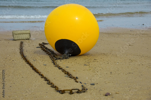 the buoy