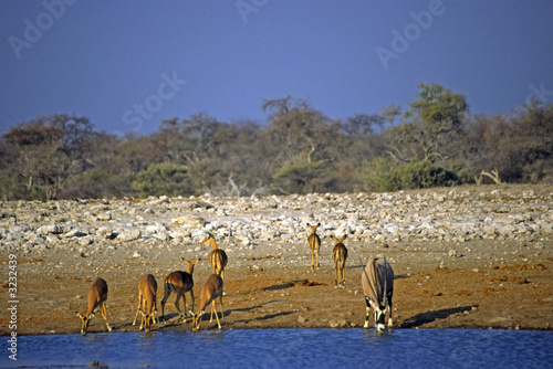 Wallpaper Mural namibia Torontodigital.ca