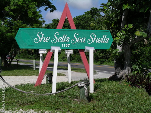 she sells sea shells photo