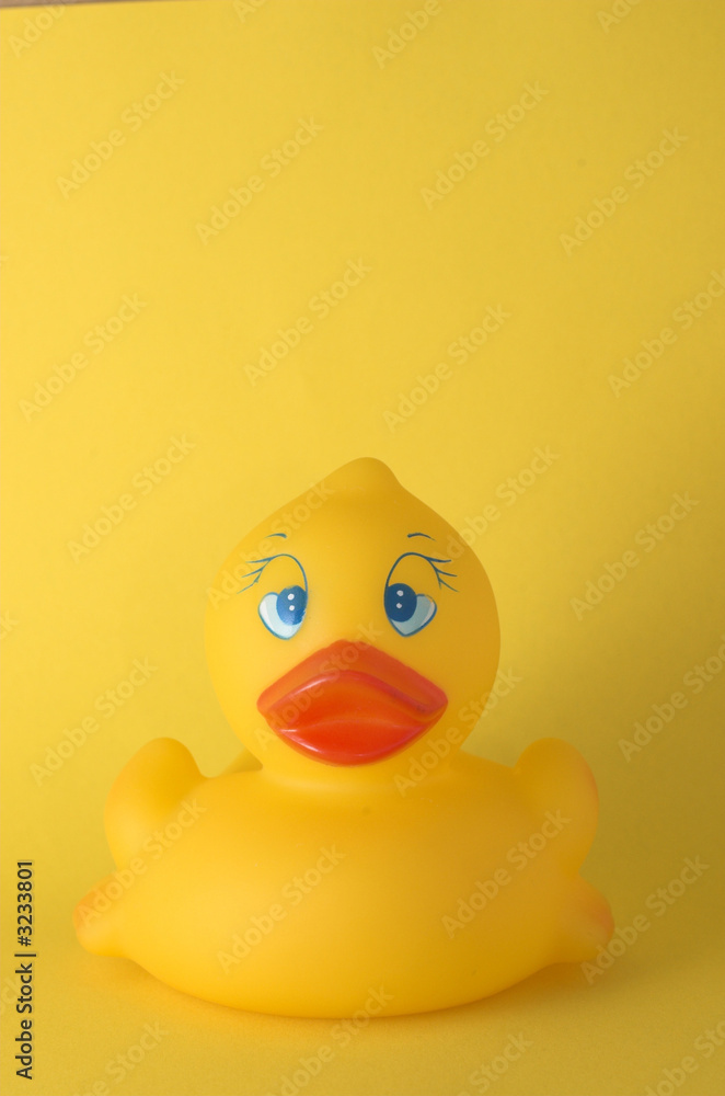cute rubber duck cute rubber duck