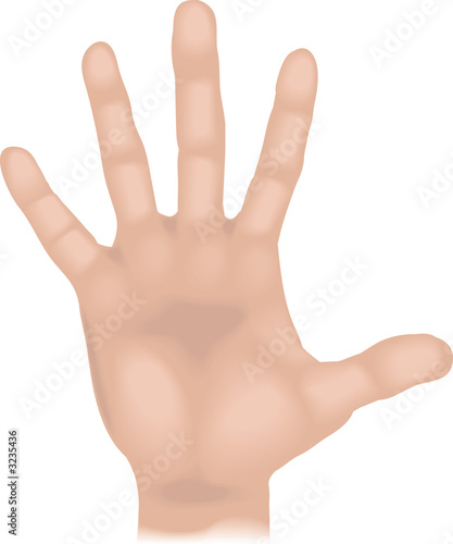 body parts hand