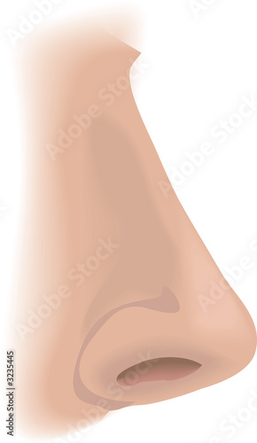 body parts nose