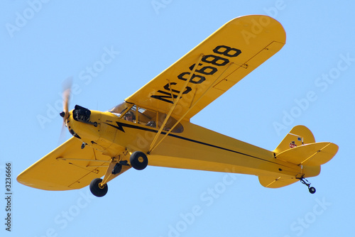 yellowbird