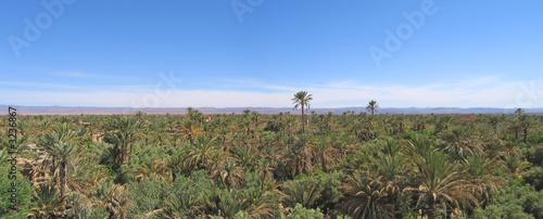 palm grove of skoura with the amerdihil kasbah, morocco, panoram photo