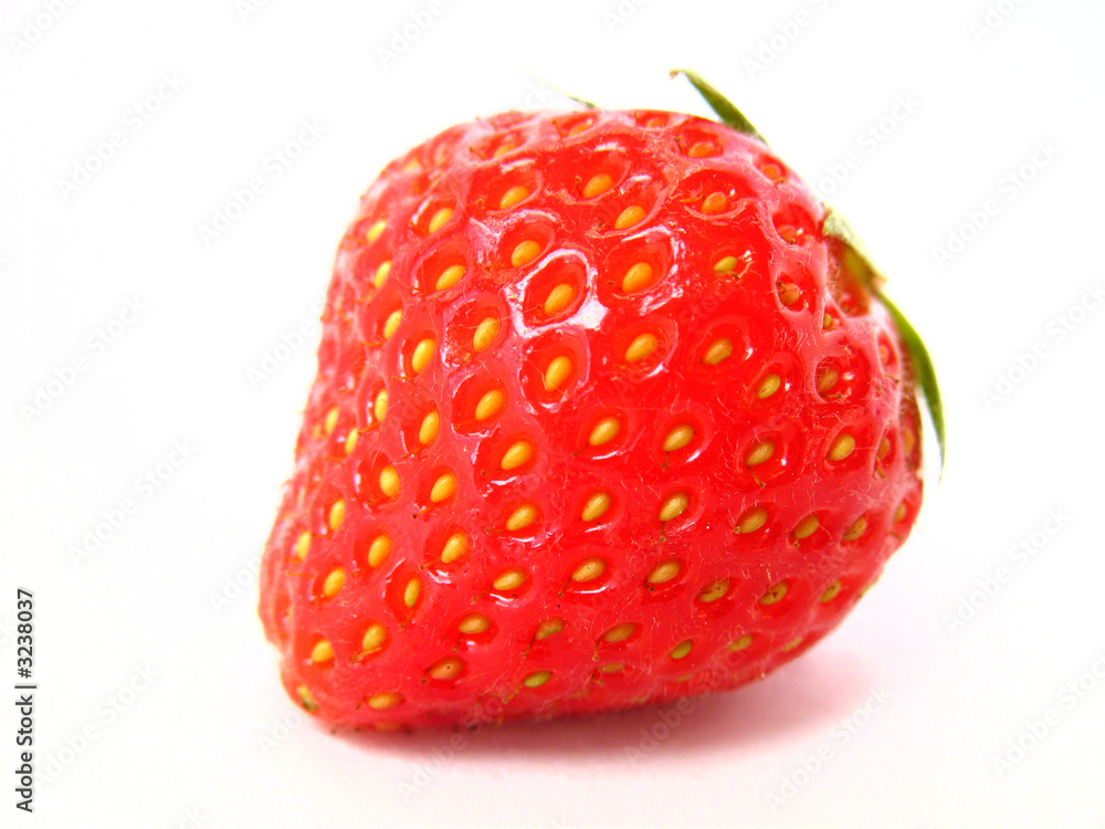 erdbeere 1 erdbeere 1