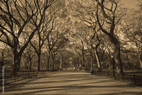 central park new york sepia