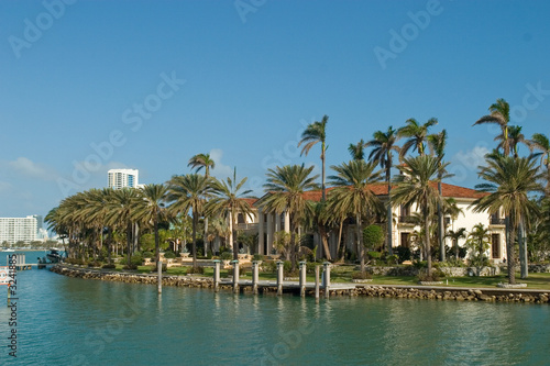 mansion with palms from the side