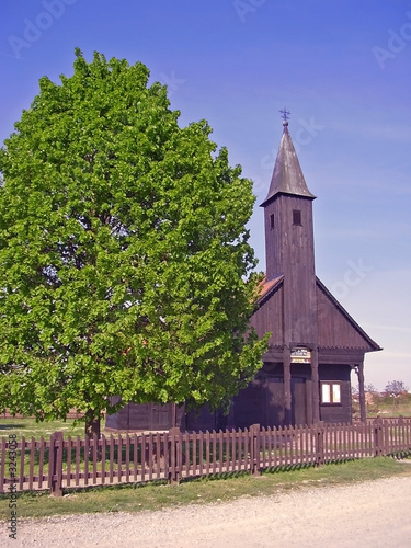 tree and church photo
