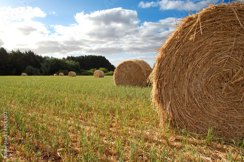 hay bale