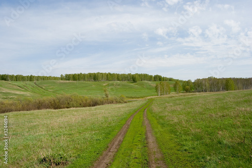 road on glade