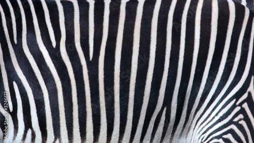 zebrastreifen
