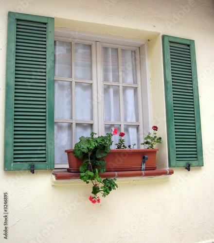 window
