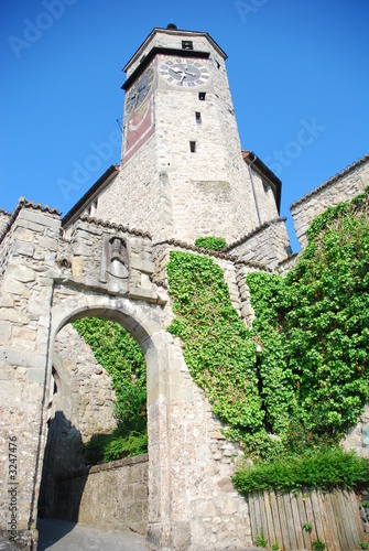 castle in rapperswil