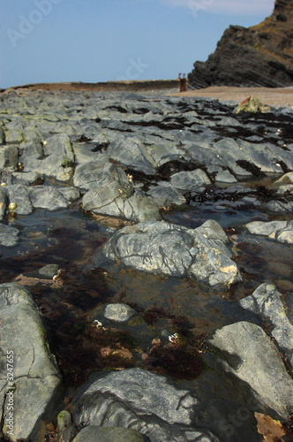 rockpools