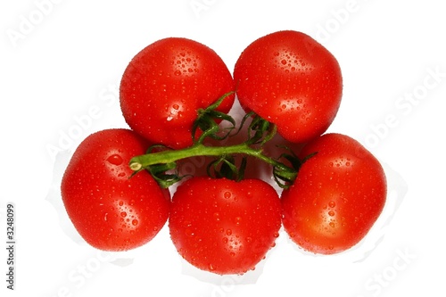 tomatoes on white background photo