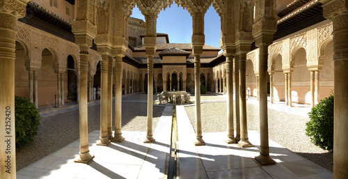 lion patio panorama