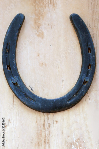 lucky horseshoe