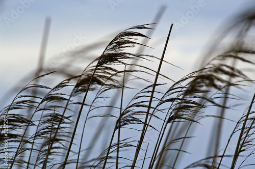 Obraz na płótnie wind