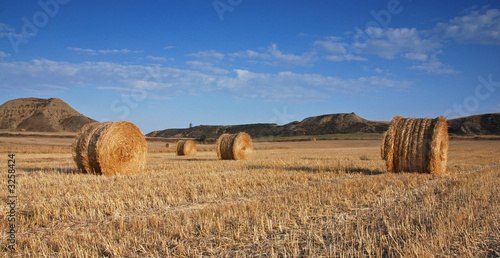 field of hay bales