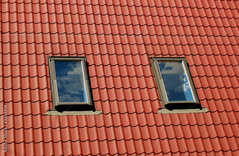 windows windows