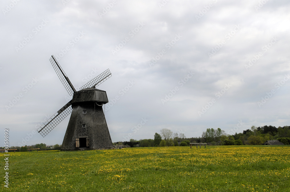old mill at dandelion field old mill at dandelion field