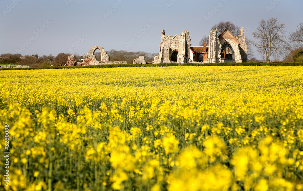 Fotografie leiston abbey suffolk