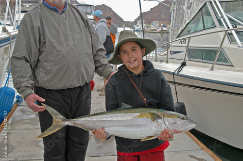 1st yellowtail