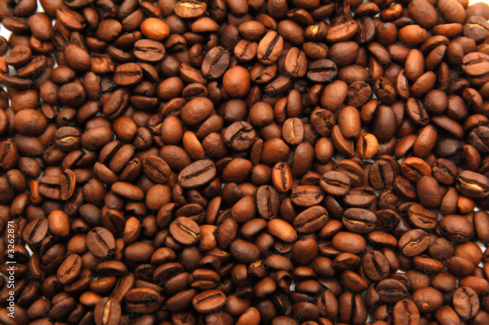 Fototapeta premium coffee beans texture