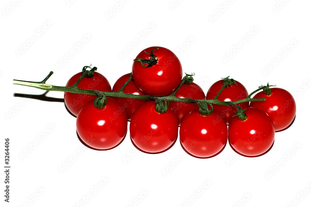 tomatoes tomatoes