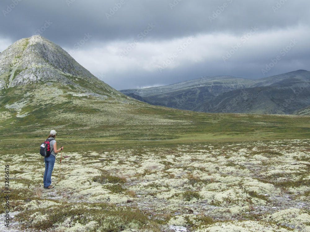 short break from hiking