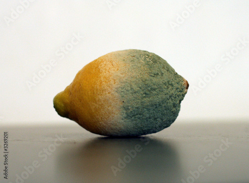 citron pourri photo